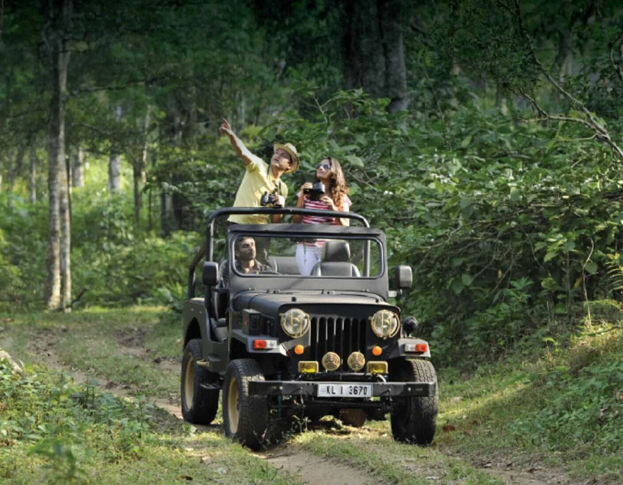 jungle jeep safari thekkady
